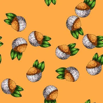 Pattern root turmeric sketch hand drawn 库存插图