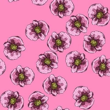 Pattern rose begonia sketch hand drawn Stock Illustration