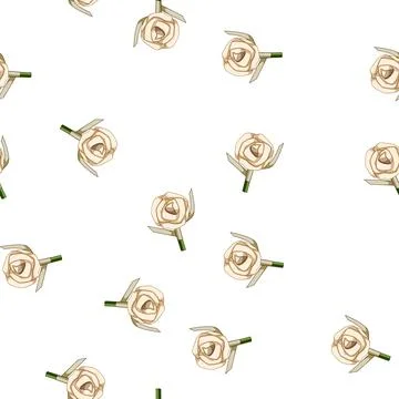 Pattern rose boutonniere cartoon vector Stockillustratie