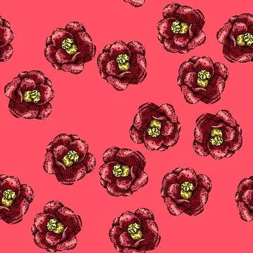 Pattern rose camellia sketch hand drawn Stock Illustration