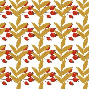 Pattern of rosehip berries autumn element berries Illustrazione stock