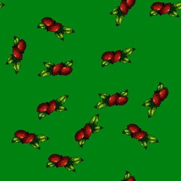 Pattern rosehip plant berry sketch hand drawn 스톡 일러스트