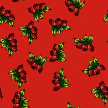 Pattern rosehip plant herbal sketch hand drawn Illustrazione stock