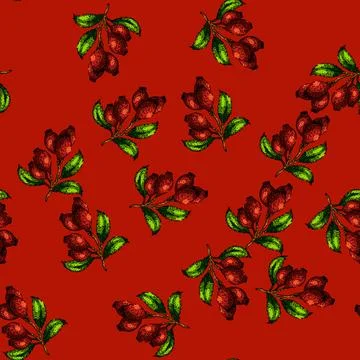 Pattern rosehip plant leaf sketch hand drawn Stock Illustration
