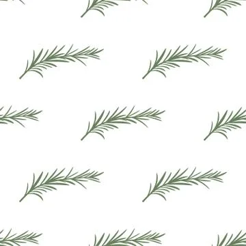 Pattern with rosemary Stock Illustration