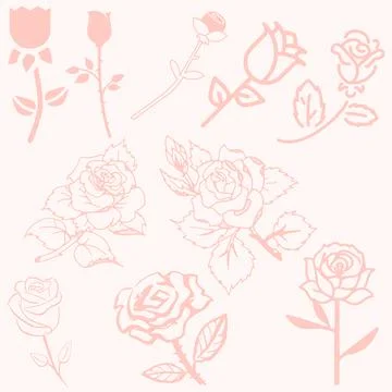Pattern of roses, illustrations rose pattern with pink background. Stock Illustration