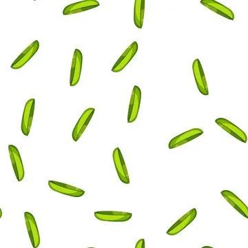 Pattern round plate white cartoon vector 스톡 일러스트