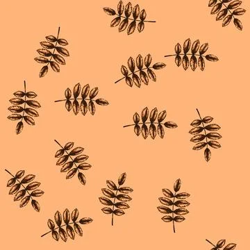 Pattern rowan autumn leaf sketch hand drawn イラスト素材