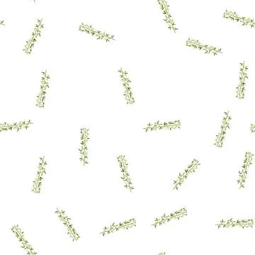 Pattern rustic olive border divider cartoon vector Stock Illustration
