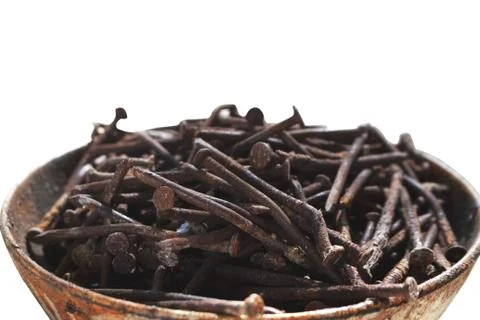 Pattern rusty nails in a cup on white background and clipping paths Stock Photos