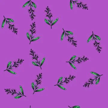 Pattern sage sage sketch hand drawn Stock Illustration