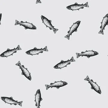 Pattern salmon fish sketch hand drawn Stock Illustration