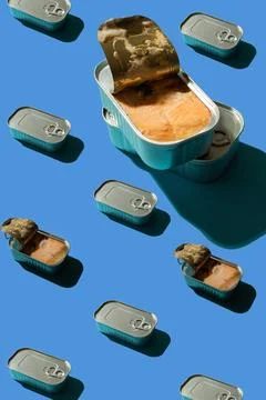 Pattern with salmon in a tin Stock Photos
