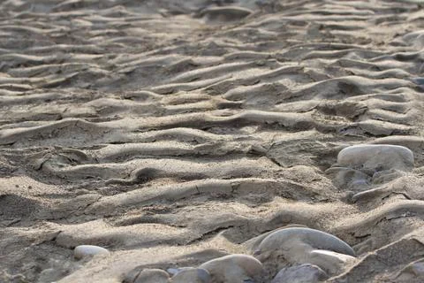 Pattern of sand and stones in the rays of the sun at sunset, texture. Stock Photos
