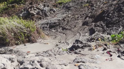 Pattern on the sand Stock Footage 130880316