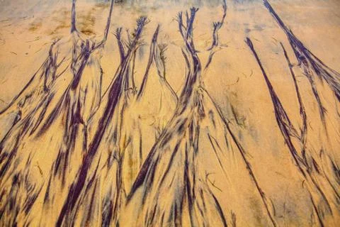 Pattern on the sand Stock Photos