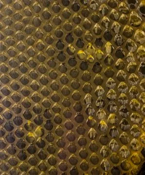 Pattern of a scaled leather skin in macro closeup, animal hide background Stock Photos