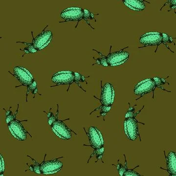 Pattern Scarab beetle insect drawing in vintage engraving style イラスト素材