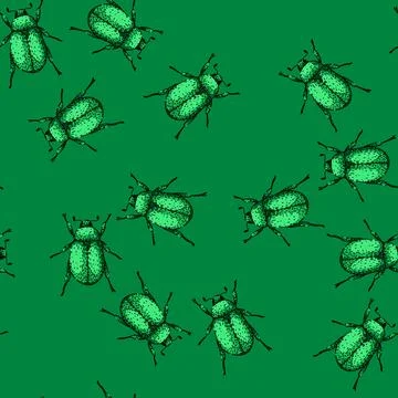 Pattern Scarab beetle insect line hatching drawing illustration イラスト素材