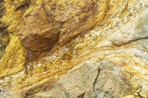 Pattern on the sea dry stone close-up Stock Photos