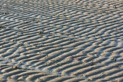 Pattern of sea waves on the beach Stock Photos