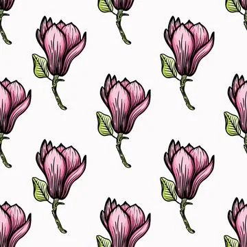 Pattern seamless with black magnolia outline. Spring flowers hand drawn vector Stock Illustration