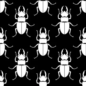 Pattern seamless. Insect background. Beetle ornament. Illustrazione stock