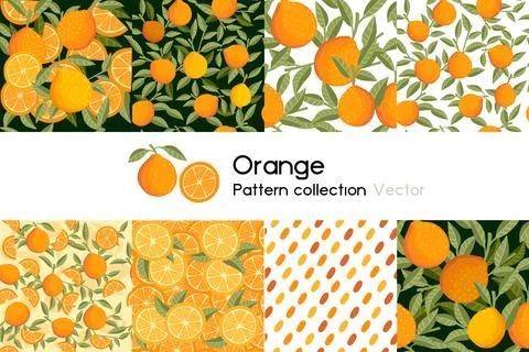 Pattern with seamless patterns collection of whole and chopped orange with Stock Illustration