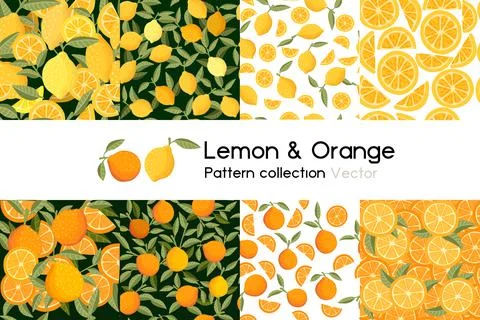 Pattern with seamless patterns collection of whole chopped orange and lemon with Stock Illustration