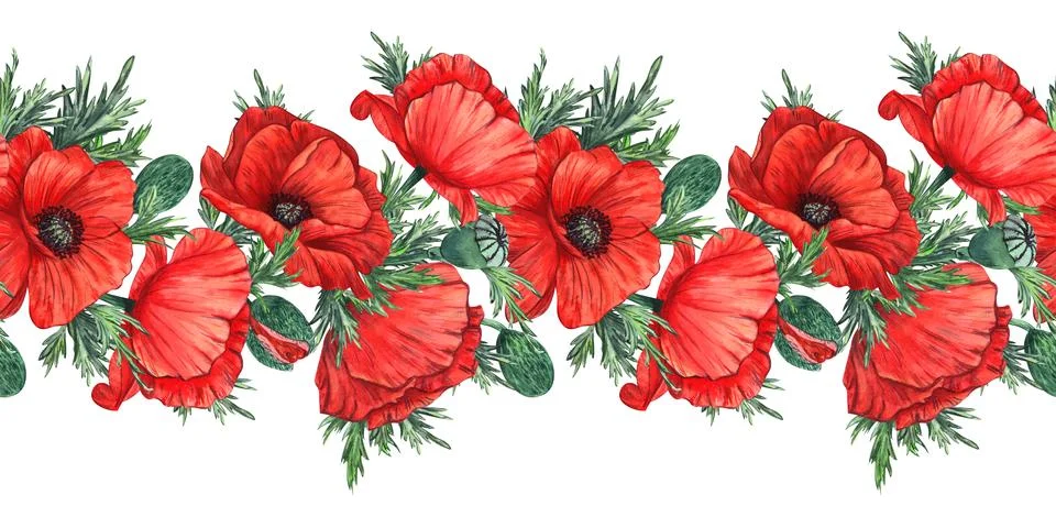 The pattern is seamless with red poppies painted in watercolor and isolated o Stock Illustration