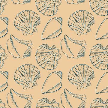 Pattern with Seashells hand drawn doodle, blue and beige colors. Summer 스톡 일러스트