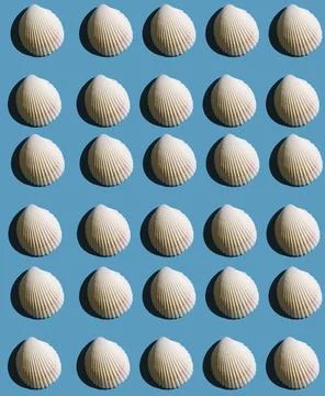 Pattern from seashells with hard shadow on a blue background, top view. Stock Photos