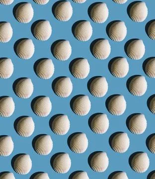 Pattern from seashells with hard shadow on a blue background, top view. Stock Photos