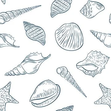 Pattern seashells sketch hand drawing, vector illustration. Stock Illustration