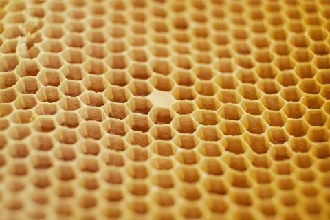 Pattern of a section of wax honeycomb from a bee hive filled with golden honey Stock Photos