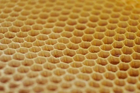 Pattern of a section of wax honeycomb from a bee hive filled with golden honey Stock Photos