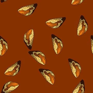 Pattern seed brazil nut sketch hand drawn Illustrazione stock