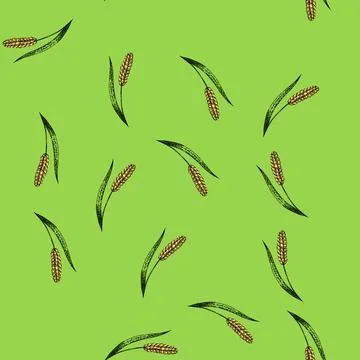 Pattern seed millet sketch hand drawn Stock Illustration