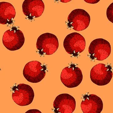 Pattern seed pomegranate sketch hand drawn Illustrazione stock