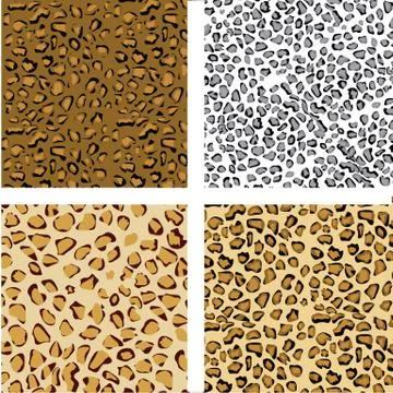 Pattern set of animal print, vector illustration Stock Illustration