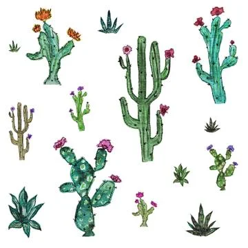 Pattern set with cacti and flowers on white background. Stock Illustration