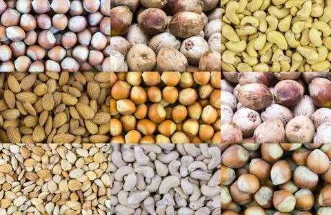 Pattern set of nuts snacks seeds of apricot hazelnut coconut cashew nut sourc Stock Photos