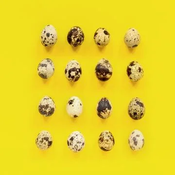 Pattern set of quail eggs on yellow paper background. Easter concept. Templat 스톡 사진