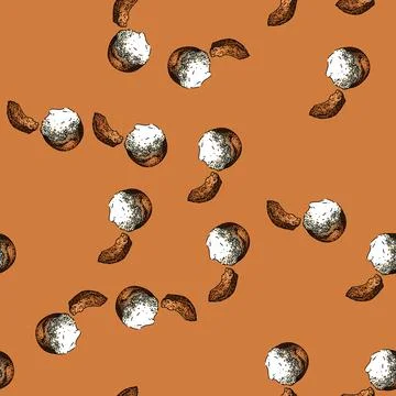 Pattern shea butter care sketch hand drawn Stock Illustration
