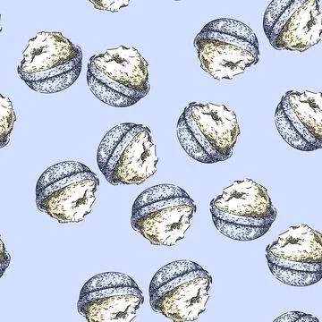 Pattern shea butter sketch hand drawn Stock Illustration