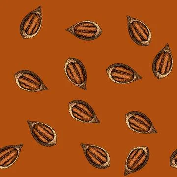 Pattern shell pecan nut sketch hand drawn Stock Illustration