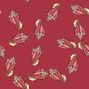 Pattern shell sea sketch hand drawn Illustrazione stock