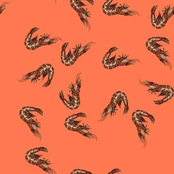 Pattern shrimp king tiger sketch hand drawn Stock Illustration