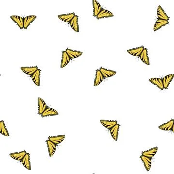 Pattern silhouette butterfly cartoon vector Stock Illustration
