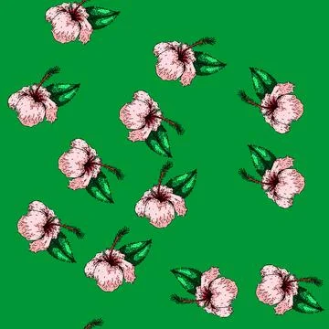 Pattern silhouette hibiscus sketch hand drawn Stock Illustration